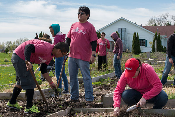 Students participate in NIU Cares Day